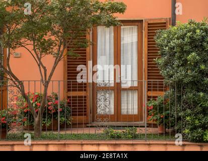 Ce patio accueillant est à Lucca, Toscane, Italie. Les volets en bois, les fleurs et la verdure avec des rideaux transparents sont accueillants. Banque D'Images