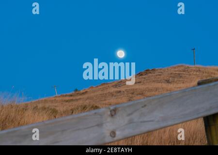 Concentrer l'herbe sèche au-delà de la barrière en bois de poteau et de rail sur la pente du mont Maunganui et la lune en déclin juste au-dessus de la crête de la colline. Banque D'Images