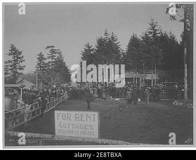 Inauguration du monument à Alki point montrant l'orating d'Edmond Meany, quartier de l'ouest de Seattle, Seattle, 13 novembre 1905 (PEISER 29). Banque D'Images