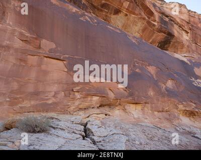 Marchez jusqu'aux pétroglyphes des panneaux Wolfman à Combs Ridge, Butler Wash Road, Bears Ears National Monument près de Bluff, Utah, États-Unis Banque D'Images