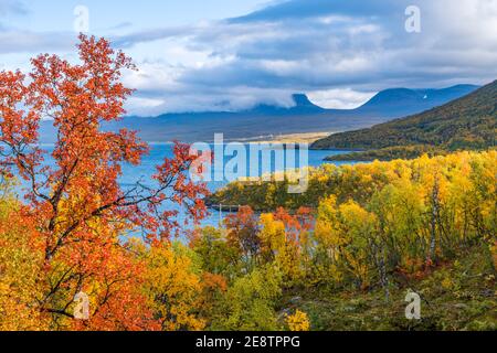 Vue de Björkliden sur Lapporten à Abisko en automne avec des arbres pleins de couleurs, comté de Kiruna, Laponie suédoise, Suède Banque D'Images