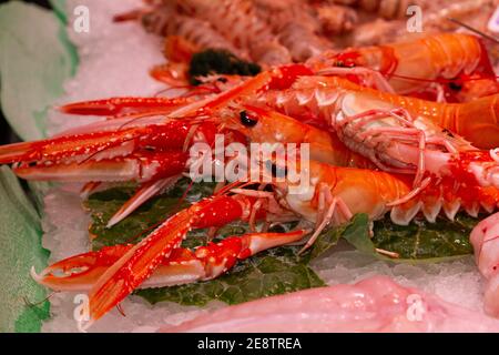 Gros plan de homard de Norvège frais sur glace présenté à la le marché Banque D'Images