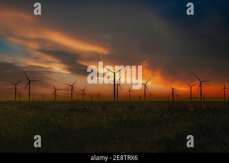 Vue sur la centrale éolienne au coucher du soleil. De vastes éoliennes se cultivent à jhimpir Banque D'Images