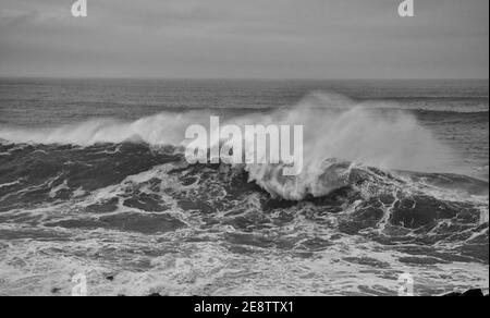 Cribbar WAVE, Newquay 2021