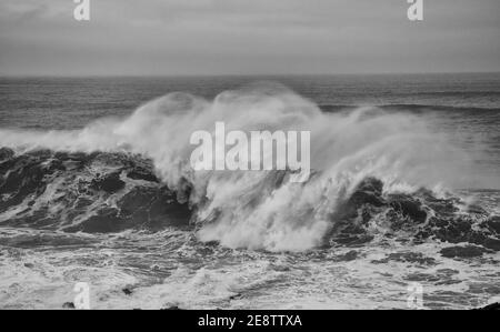 Cribbar WAVE, Newquay 2021