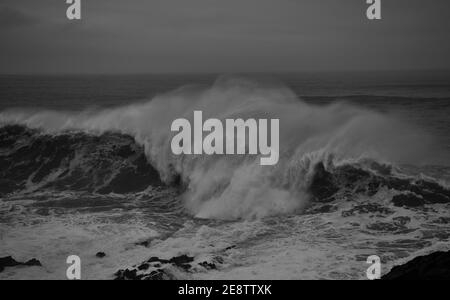 Cribbar WAVE, Newquay 2021