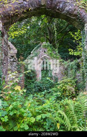 Royaume-Uni, pays de Galles, Monbucshire, Wye Valley, Tintern, ruines de l'église Sainte-Marie Banque D'Images