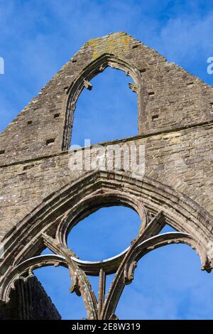 Royaume-Uni, pays de Galles, Monbucshire, Wye Valley, Tintern, Abbaye de Tintern Banque D'Images