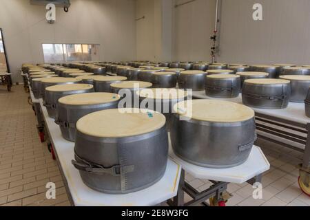 Parmigiano reggiano fromage dans des moules en métal pour le façonner en les tours sont prêts à être stockés et à mûrir dans Bologne Italie Banque D'Images