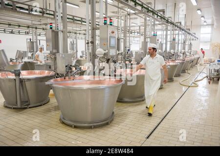 Fabrication de parmigiano reggiano de fromage Parmessan dans une usine dans Itlay de Bologne Banque D'Images