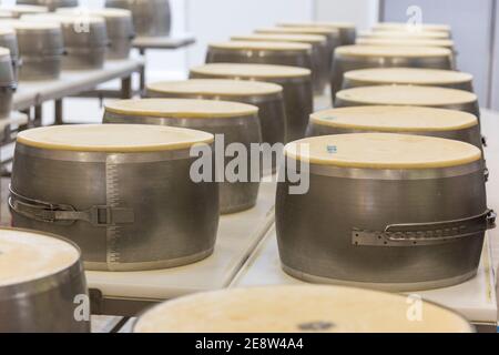 Parmigiano reggiano fromage dans des moules en métal pour le façonner en les tours sont prêts à être stockés et à mûrir dans Bologne Italie Banque D'Images