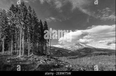 Slowakia , montagnes de la vieille Europe, forêt, montagnes, hautes tatras, slovaquie, tatry, aventure, incroyable, attraction, automne, fond, beau, Banque D'Images