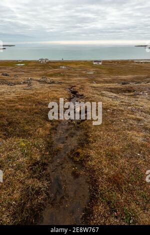 Une image estivale du port de Dundas près de l'île Devon (au nord du Canada, faisant partie du passage du Nord-Ouest) par une journée calme. Un ruisseau coulant à travers l'herbe brune. Banque D'Images