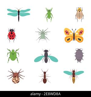 Insectes icônes jeu plat illustration de vecteur isolé. Illustration de Vecteur
