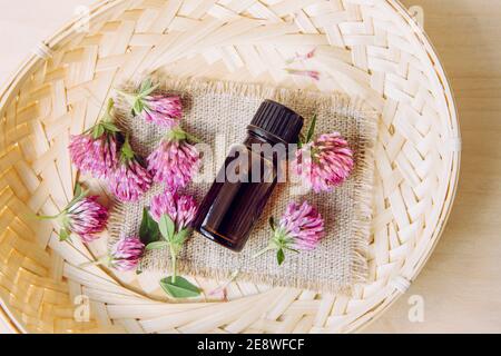 Flat Lay et de l'accent sélectif sur Trifolium pratense la bouteille rouge de teinture de trèfle avec des fleurs cueillies pour la décoration dans le bol de panier. Banque D'Images