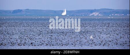 Freest, Allemagne. 05ème novembre 2020. Un voilier est en cours sur le Greifswalder Bodden. Credit: Jens Büttner/dpa-Zentralbild/ZB/dpa/Alay Live News Banque D'Images