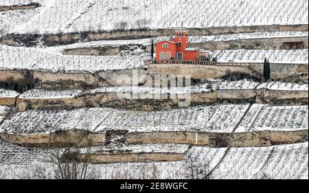 Freyburg, Allemagne. 26 janvier 2021. Un cottage de vignoble rouge se trouve dans les vignobles enneigés de la vallée d'Unstrut. Credit: Jan Woitas/dpa-Zentralbild/ZB/dpa/Alay Live News Banque D'Images