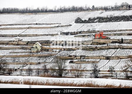 Freyburg, Allemagne. 26 janvier 2021. Un cottage de vignoble rouge se trouve dans les vignobles enneigés de la vallée d'Unstrut. Credit: Jan Woitas/dpa-Zentralbild/ZB/dpa/Alay Live News Banque D'Images