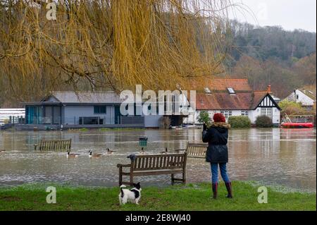 Henley-on-Thames, Oxfordshire, Royaume-Uni. 1er février 2021. Une dame s'arrête pour prendre des photos des inondations. Un avertissement d'inondation est en place pour la Tamise à Henley. On s'attend à ce que les inondations se poursuivent aujourd'hui et on a demandé aux personnes vivant près de la Tamise d'activer leurs barrières d'inondation. De nombreux champs utilisés pour la célèbre régate royale de Henley sont maintenant sous l'eau. Crédit : Maureen McLean/Alay Live News Banque D'Images