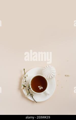 Plat de la tasse de thé debout avec des fleurs de pomme et marron sur fond beige avec espace de copie Banque D'Images