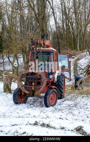 vintage belarus mtz 80 tracteur avec bras de grue fabriqué par un tracteur de minsk est utilisé pour défriler les zala des arbres abattus comté de hongrie Banque D'Images