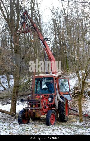 vintage belarus mtz 80 tracteur avec bras de grue fabriqué par un tracteur de minsk est utilisé pour défriler les zala des arbres abattus comté de hongrie Banque D'Images