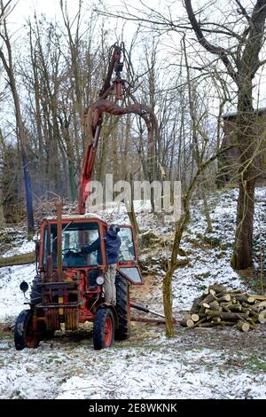 vintage belarus mtz 80 tracteur avec bras de grue fabriqué par un tracteur de minsk est utilisé pour défriler les zala des arbres abattus comté de hongrie Banque D'Images