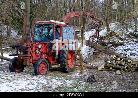 vintage belarus mtz 80 tracteur avec bras de grue fabriqué par un tracteur de minsk est utilisé pour défriler les zala des arbres abattus comté de hongrie Banque D'Images