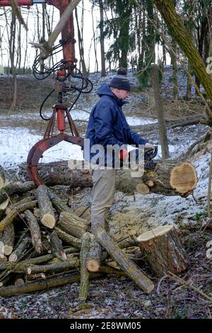 vintage belarus mtz 80 tracteur avec bras de grue fabriqué par un tracteur de minsk est utilisé pour défriler les zala des arbres abattus comté de hongrie Banque D'Images