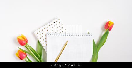 Border Flat Lay bureau, style minimaliste sur fond blanc avec espace vide pour le texte. Tulipes et carnets. Le lieu de travail de Blogger pour la Saint-Valentin Banque D'Images