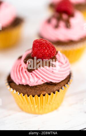 Des cupcakes au chocolat gourmets, arrosés de ganache au chocolat et recouverts d'une framboise fraîche. Banque D'Images