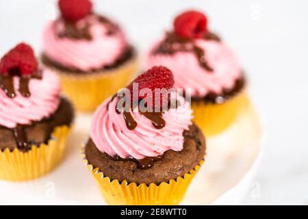 Des cupcakes au chocolat gourmets, arrosés de ganache au chocolat et recouverts d'une framboise fraîche. Banque D'Images