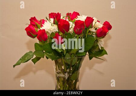 Roses rouges et chrysanthèmes blancs dans UN vase Banque D'Images