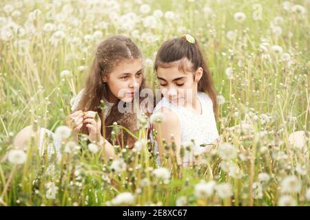 Amis, adolescentes en marche avec leur soeur et leur chien dans un terrain d'été avec des pissenlits, jour ensoleillé Banque D'Images