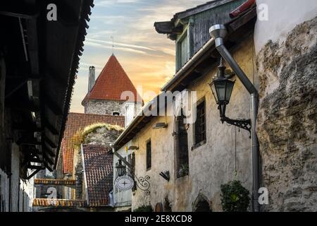 L'architecture médiévale de Katariina käik, ou du passage dans la petite allée cachée à Tallinn, Estonie. Banque D'Images