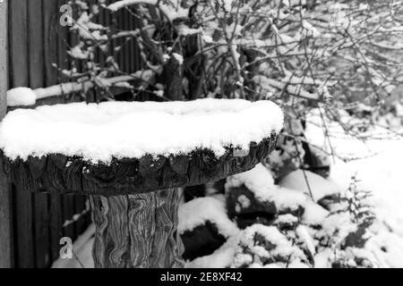 gros plan sur une image en noir et blanc d'un oiseau orné de pierres bain couvert de neige à l'extérieur dans un jardin intérieur un hiver froid jour Banque D'Images