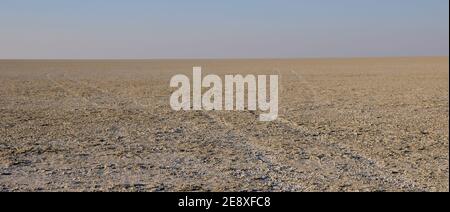 Sable, Salzkruste, Savanne : die Etosha Salzpfanne. Sel de sable et savane - les moules de sel d'etosha en Namibie Banque D'Images