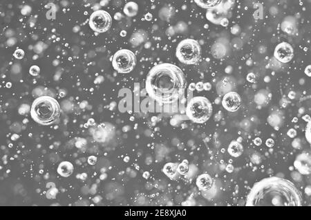 Macro bulles d'oxygène dans le sang. Liquide noir et blanc. Banque D'Images