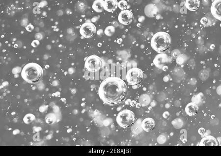 Macro bulles d'oxygène dans le sang. Liquide noir et blanc. Banque D'Images