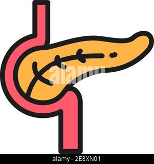 Pancréas, icône de ligne de couleur plate d'organe humain. Isolé sur fond blanc Illustration de Vecteur