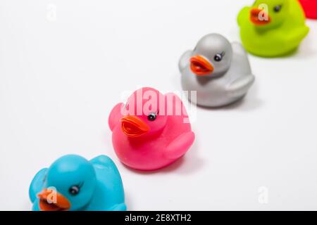 Gros plan de canards en caoutchouc multicolores sur fond blanc Banque D'Images