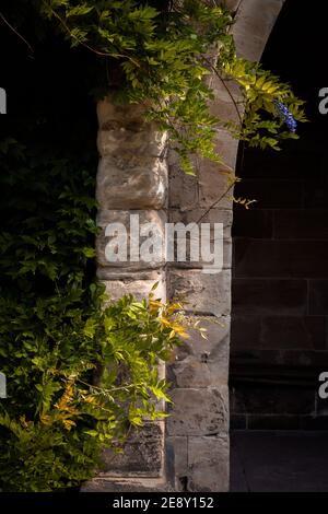 Der Magdeburger Dom ist eine dreischiffige Kreuzbasilika mit Umgangschor. Banque D'Images