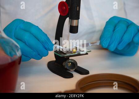 Microscope et mains en laboratoire bleu porter des gants 2021 Banque D'Images
