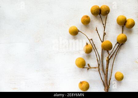 Fruit de longue taille sur fond blanc, vue en grand angle Banque D'Images