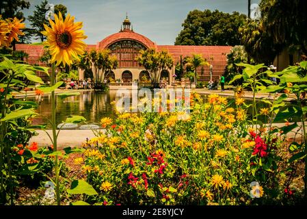 Fleurs colorées en face de l'étang aux nénuphars avec des jardins botaniques et des gens au-delà sous un ciel bleu. Banque D'Images