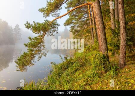 Automne au lac Masurien, Pologne Banque D'Images