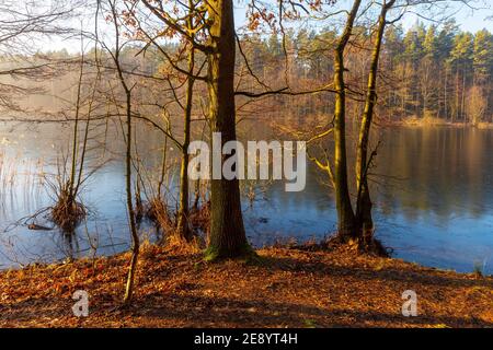 Automne au lac Masurien, Pologne Banque D'Images