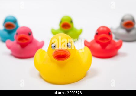 Canard de caoutchouc jaune devant l'équipe de canards de caoutchouc colorés isolés, leadership, concept de travail d'équipe Banque D'Images