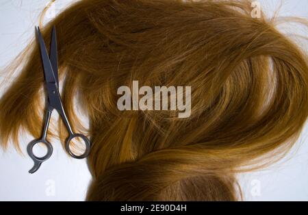 Cheveux longs blonds naturels et sains couchés avec des ciseaux métalliques arrière-plan blanc Banque D'Images