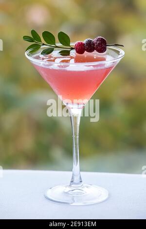 Cocktail rouge coloré inspiré de l'automne avec garniture aux canneberges Banque D'Images